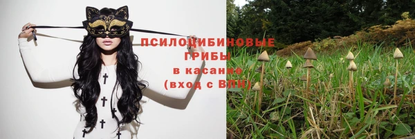 марки nbome Куйбышев