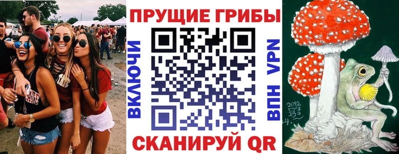 Псилоцибиновые грибы GOLDEN TEACHER Амурск